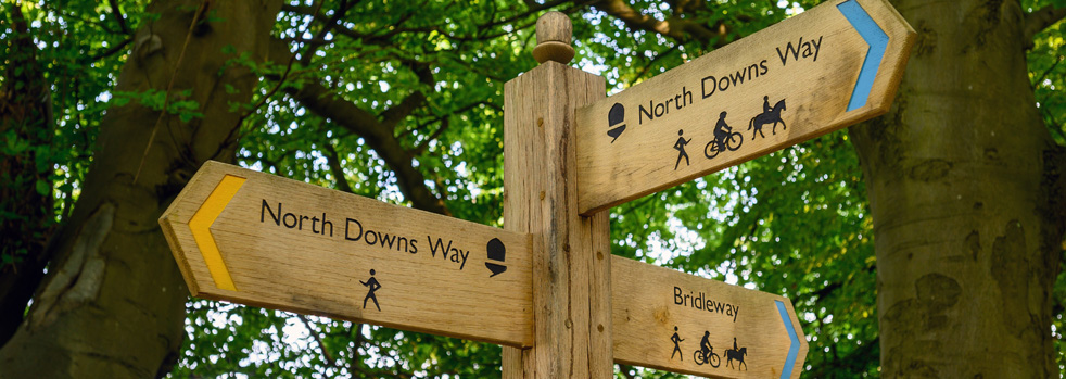 Wealden Group North Dows Ad 1