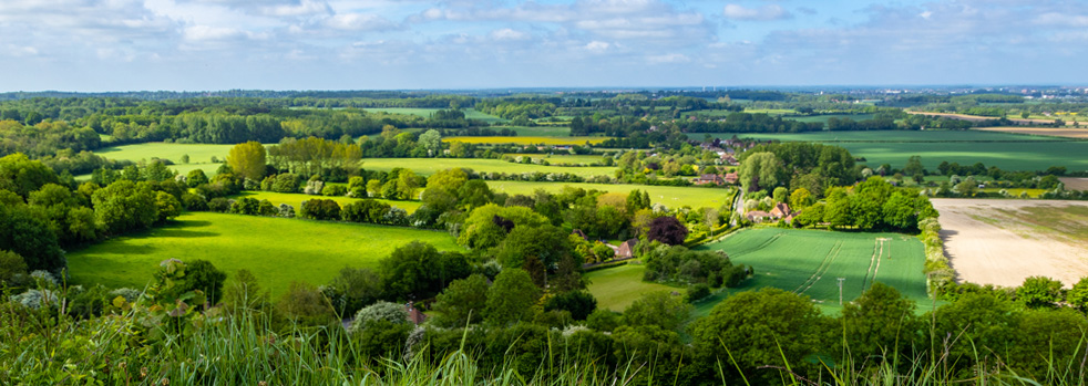 Wealden Group North Dows Ad 2